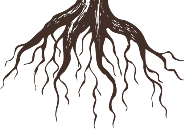 Женщина дерево