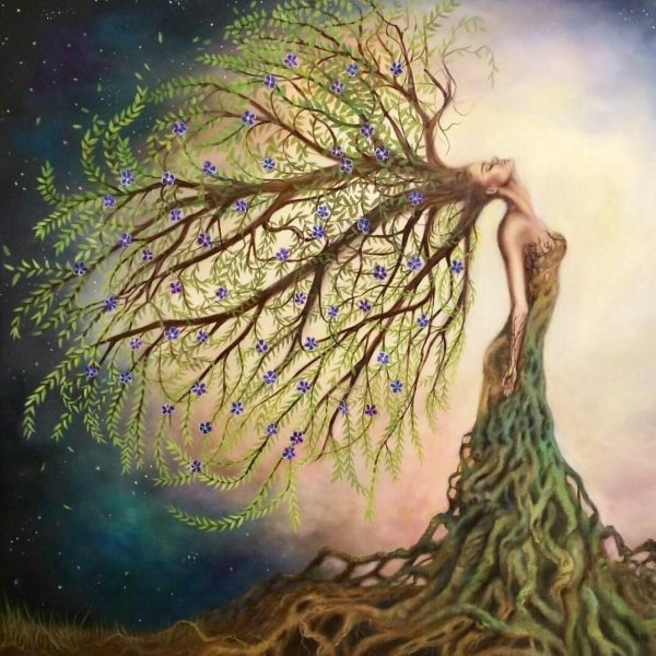 Корни дерева