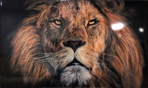 Картина модный Лев