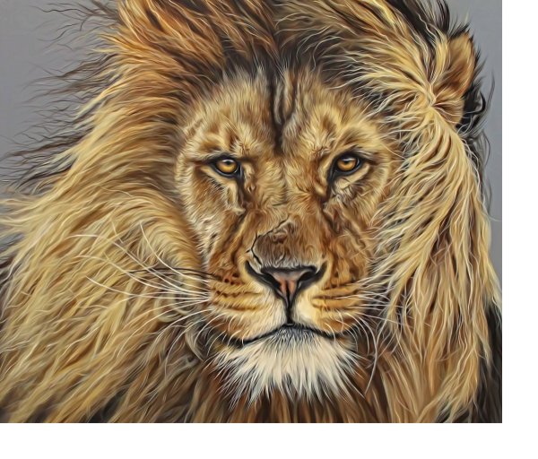 Картина Лев поталь