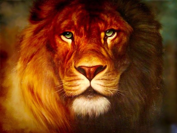 Бруно Августо картина Лев