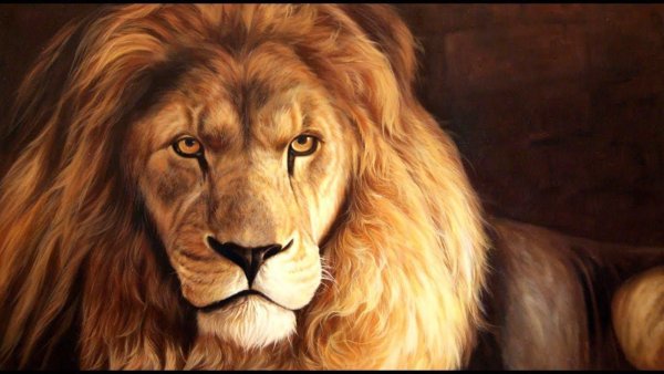 Лев портрет