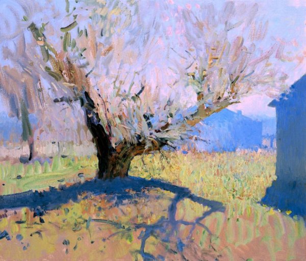 Живопись, масло Бато Дугаржапов