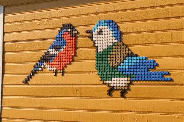 Мозаика из крышек от пластиковых бутылок