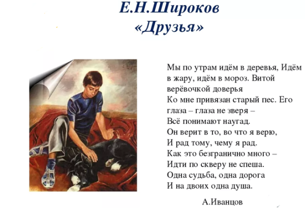 Евгений Николаевич Широков