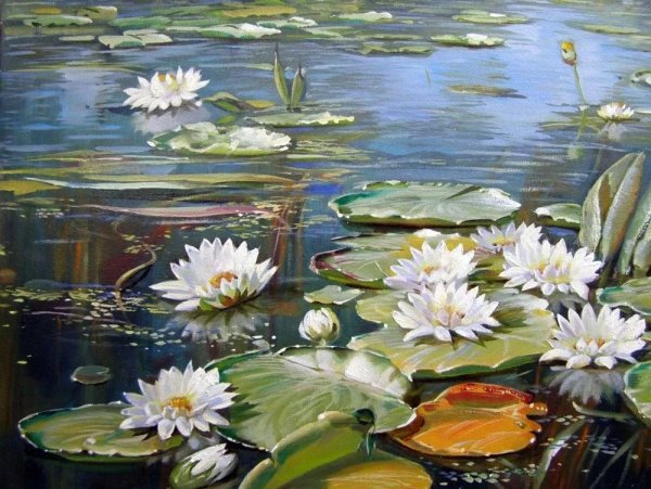 Художник Холодовский Михаил водяные лилии