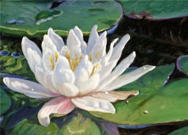 Моне Лотосы кувшинки