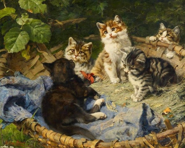 Джулиус адам (1852-1913)