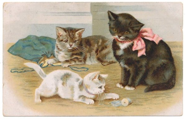 Советские открытки с котятами