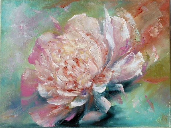 Турунов пионы