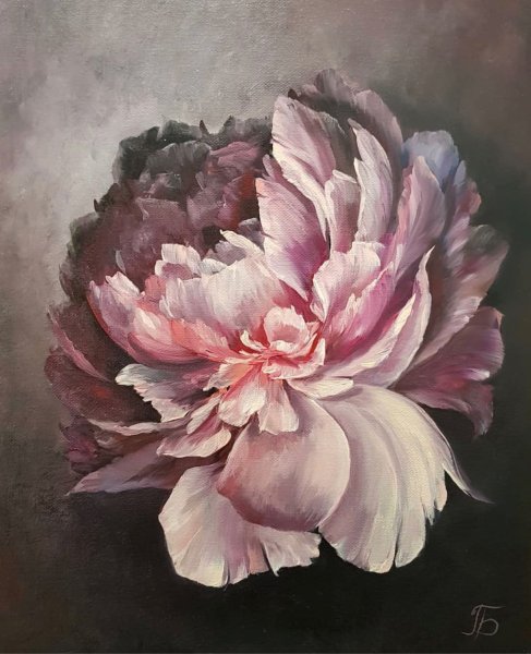 Пионы Marianne Broome