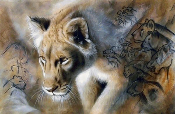 Самые красивые рисунки животных