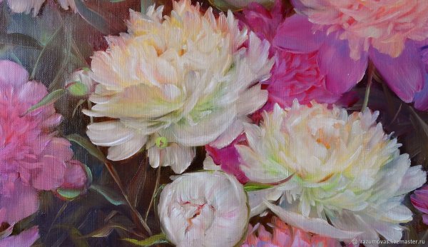 Пионы Чувашов Олег