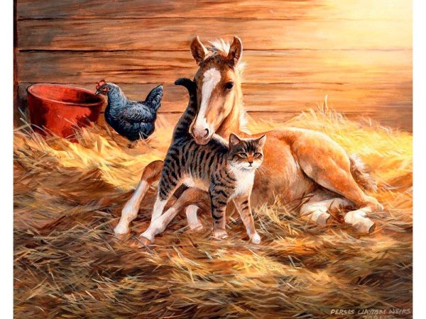 Художник-анималист persis Clayton Weirs