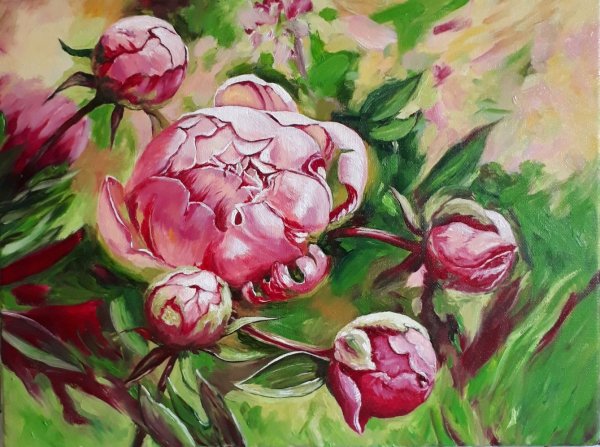 Художник Мичурина пионы