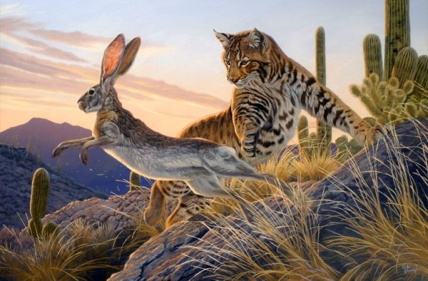 Ал.Агнев художник-анималист