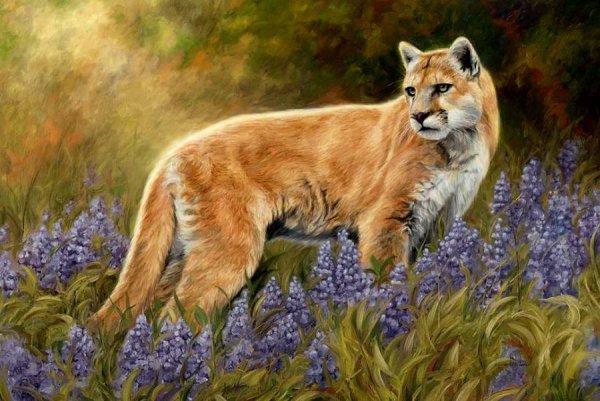 Художник Lucie Bilodeau картины