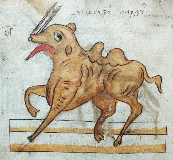 Невиданное животное рисунок