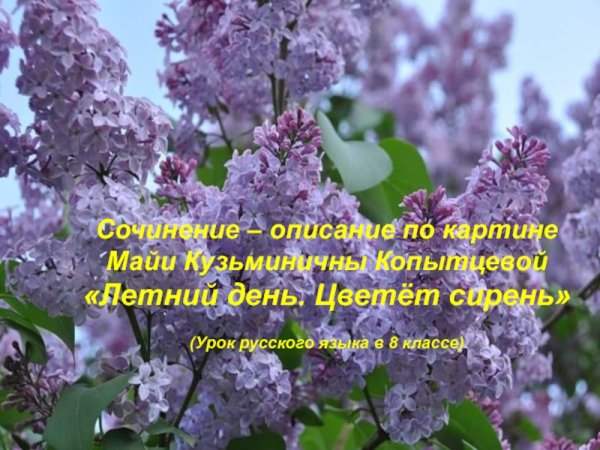 Летний день цветет сирень