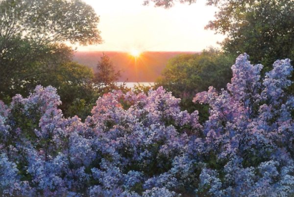 Сирень русский Север