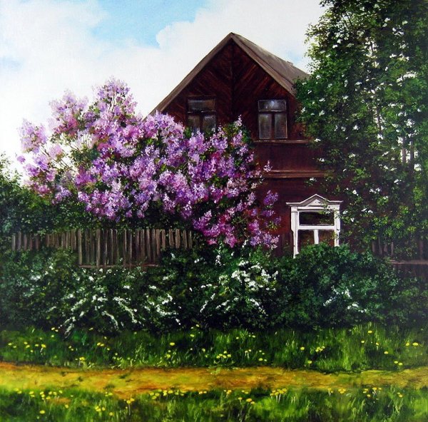 Летний деревенский пейзаж Наталья Шайкина