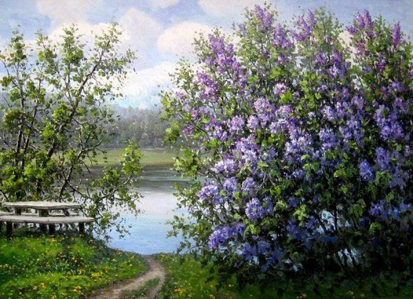 Сирень Жорж Клод