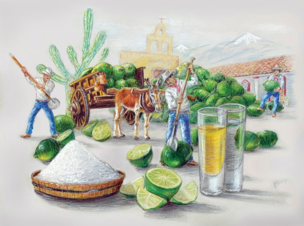 Катрин текила