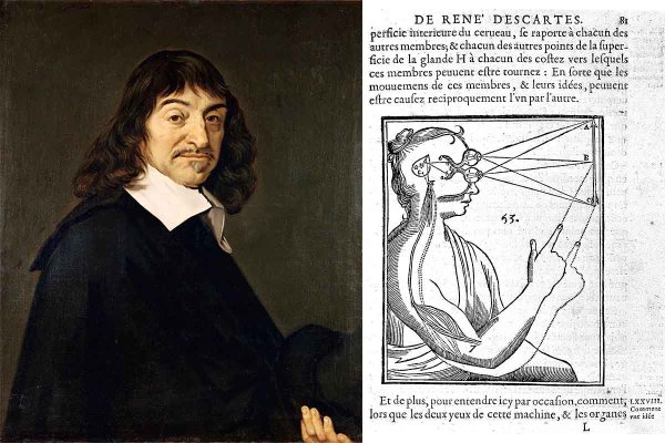 Рене Декарт физика