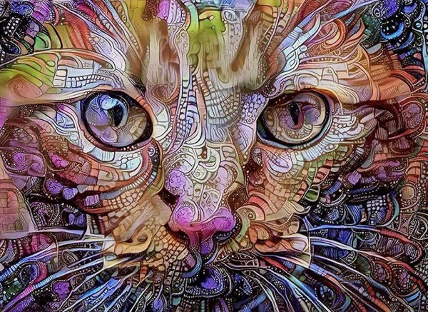 Психоделический кот