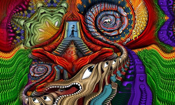 Сальвия дивинорум трип