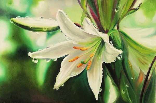 Живопись маслом Ольга Базанова