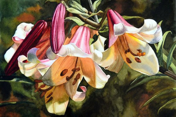 Художник цветы Лилия Левашов