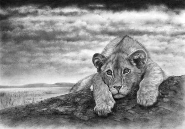 Пейзаж с животными карандашом