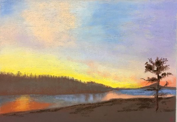 Птицы масляной пастелью