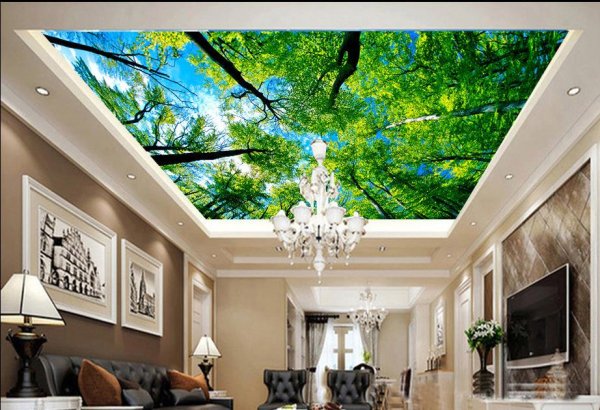 Навесные потолки с фотопечатью