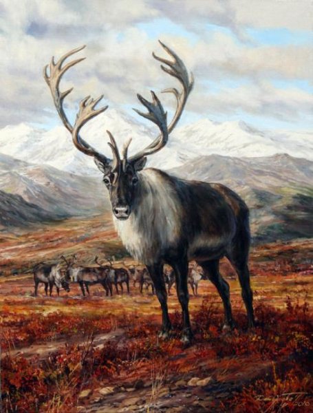 Лось картина Данчурова