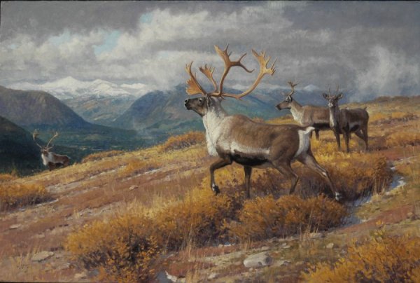 Ralph Oberg картины