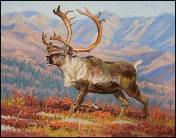 Северный олень живопись