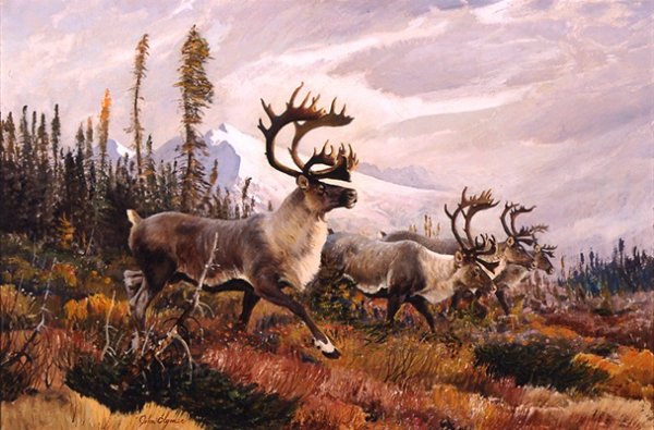 Северная олениха тундра художник