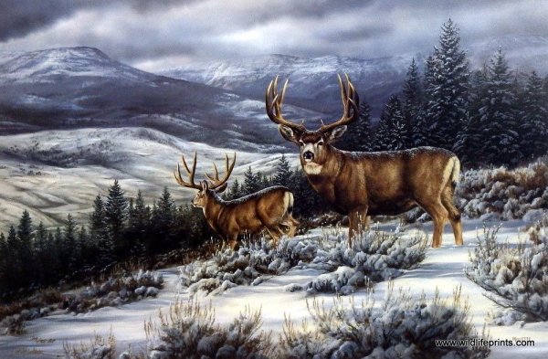 Пейзаж с оленем