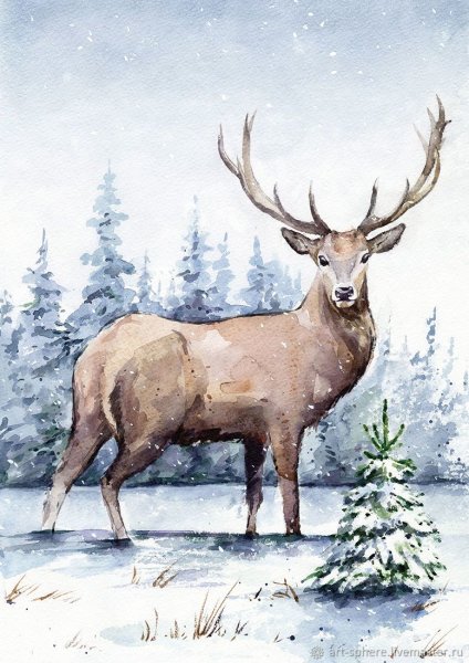Олень акварелью