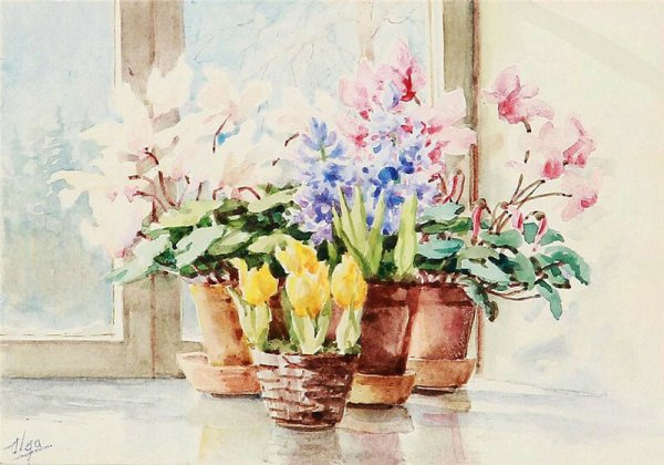 Акварели Великой княгини Ольги Александровны Романовой