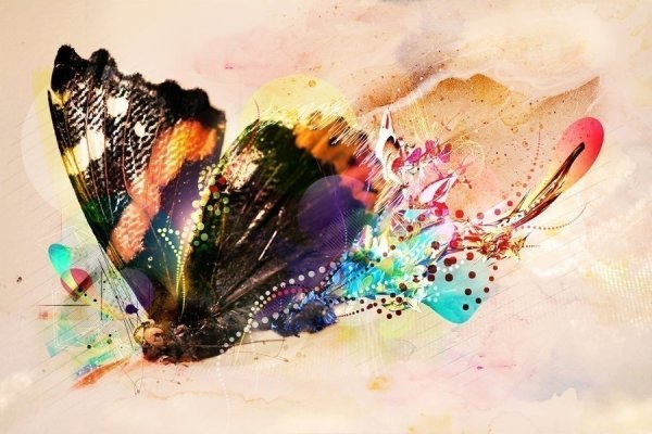 Картина бабочки