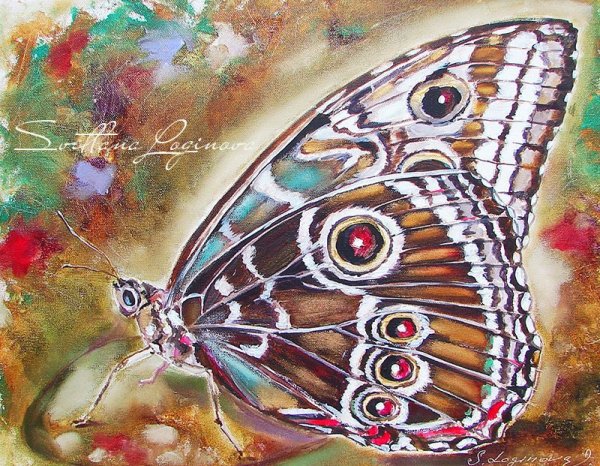 Бабочка акварельными карандашами