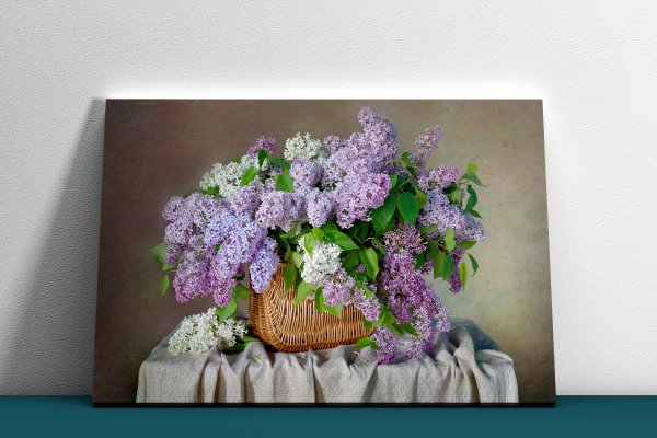 Пётр Кончаловский сирень