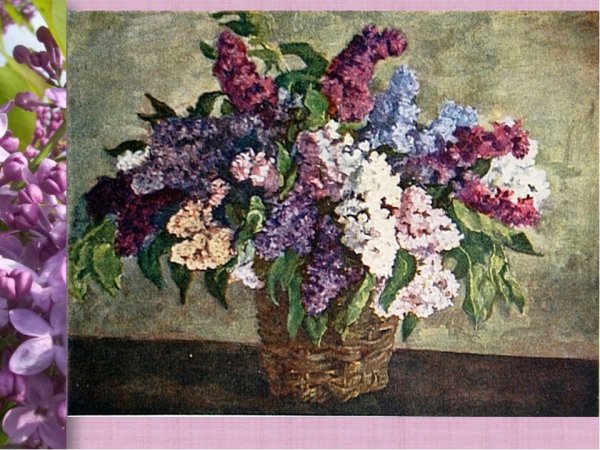 Сирень в корзине Кончаловский