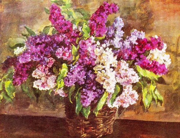 Кончаловский сирень