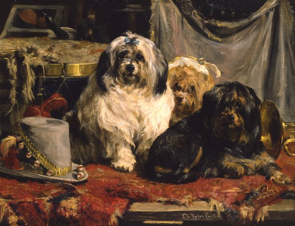 Чарльз Ван ден Эйкен