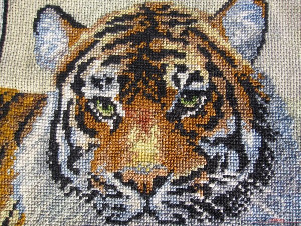 Лошади у ручья Дименшенс