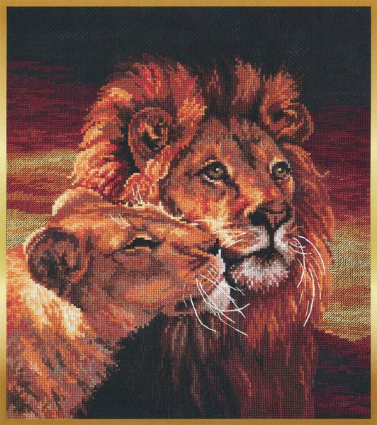 Риолис кони в лучах заката